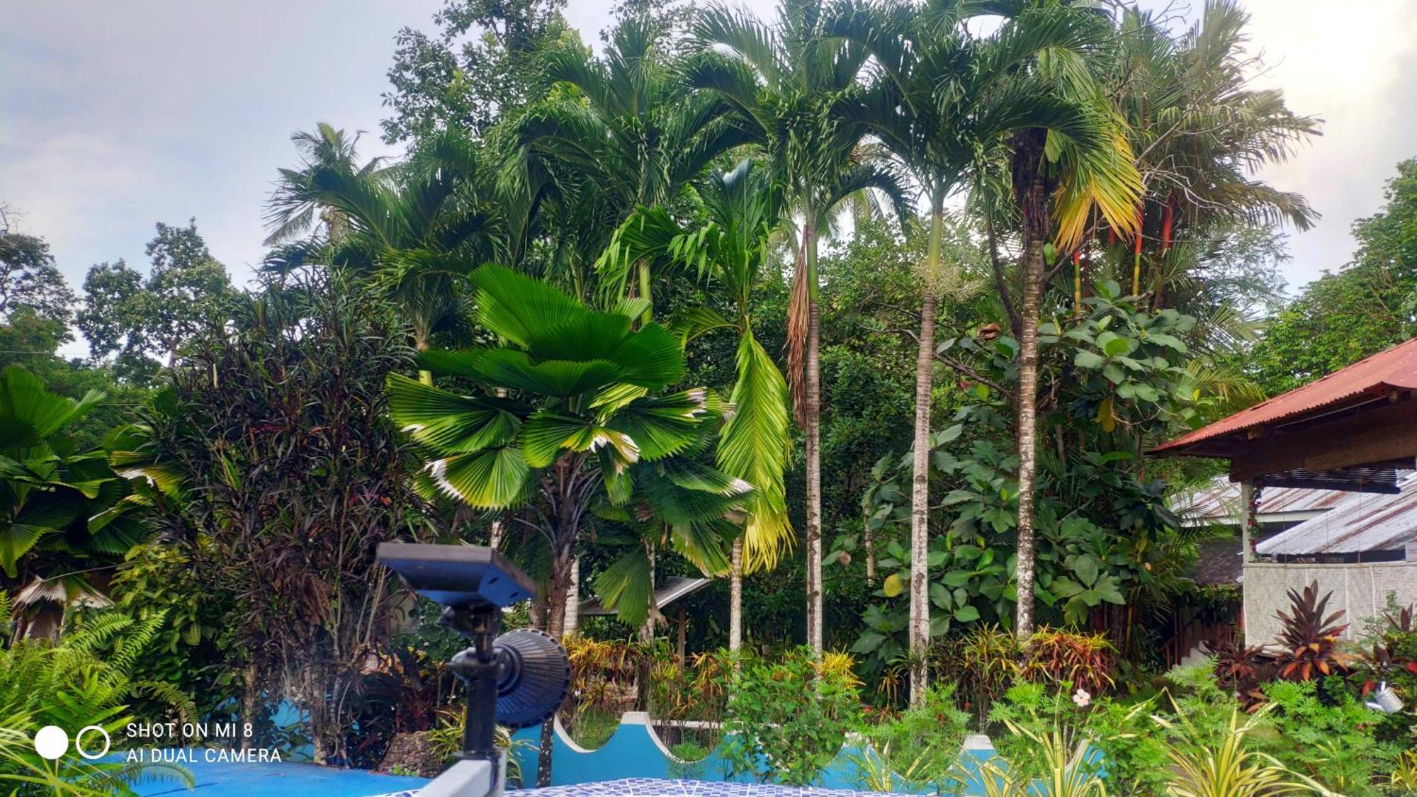 Sun House Rental Mambajao Luaran gambar