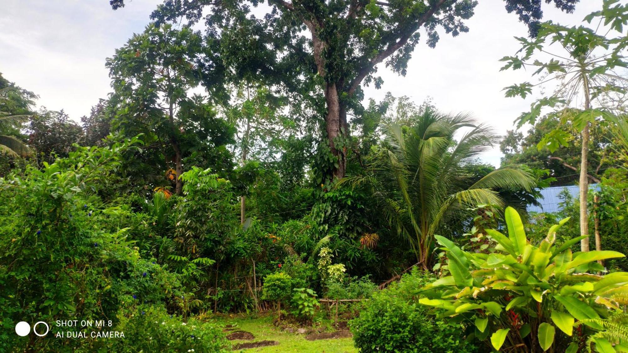 Sun House Rental Mambajao Luaran gambar