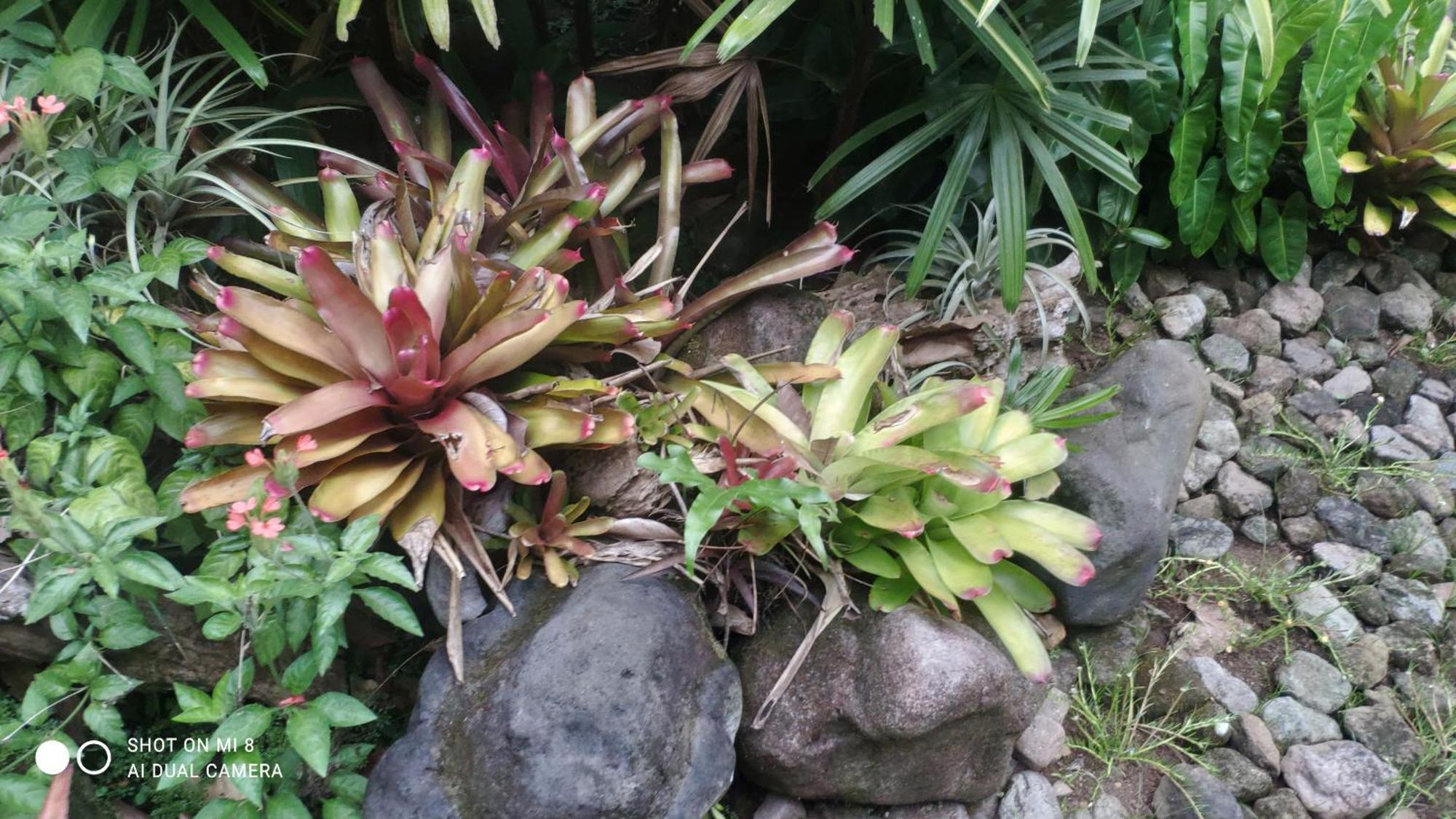 Sun House Rental Mambajao Luaran gambar