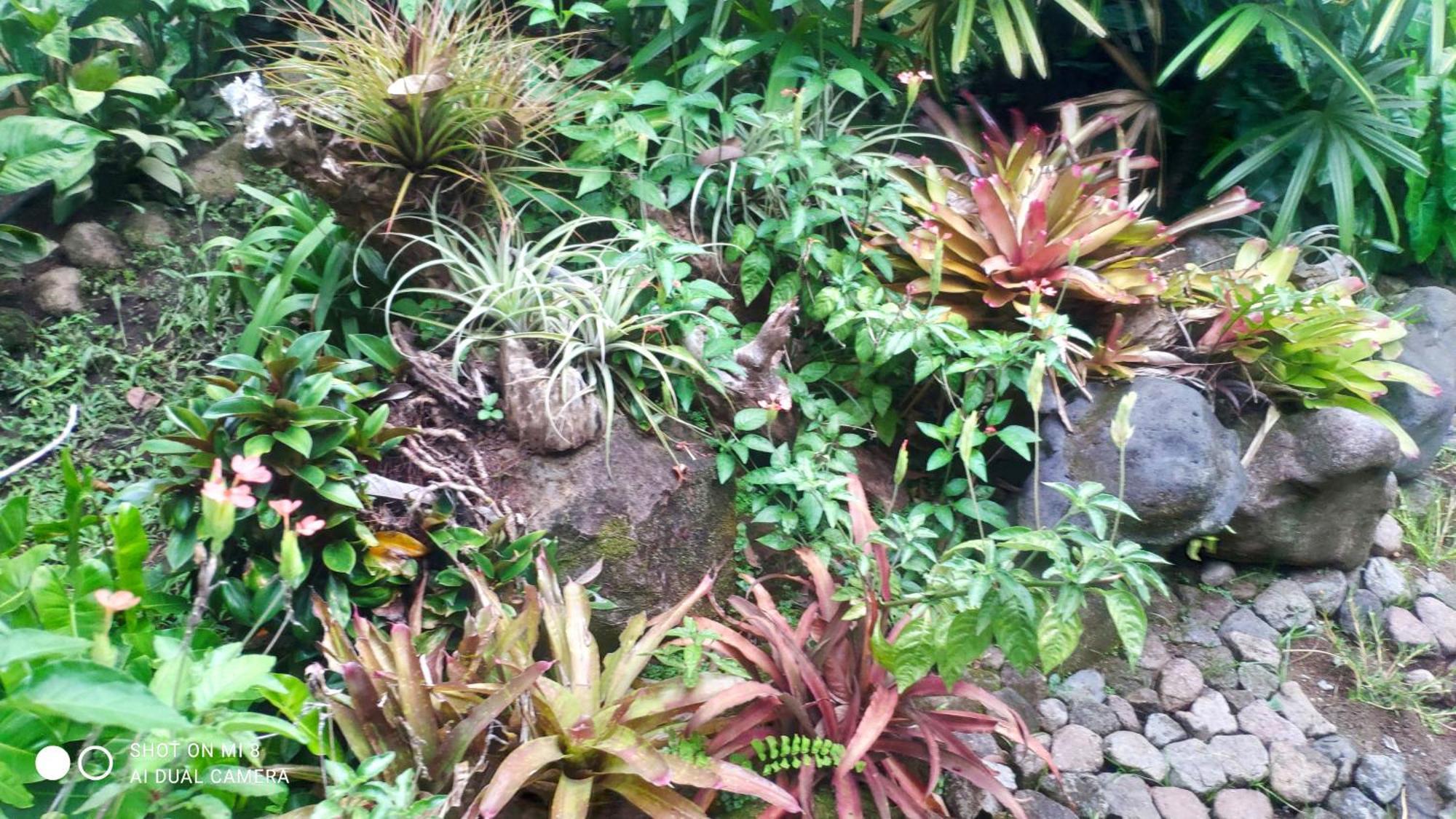 Sun House Rental Mambajao Luaran gambar